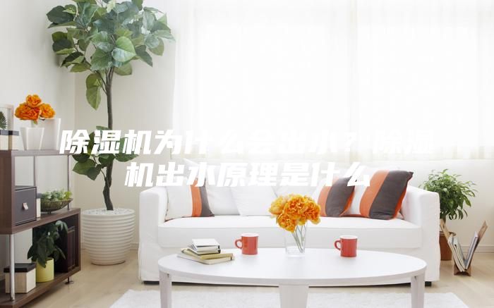 除濕機為什么會出水?除濕機出水原理是什么