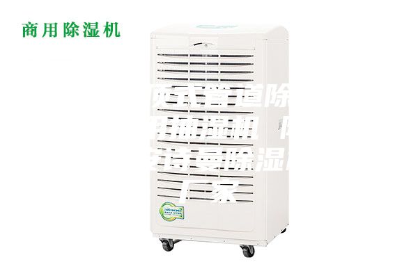 武漢吊頂式管道除濕機，游泳館用抽濕機 除濕防潮設備安詩曼除濕機生產(chǎn)廠家