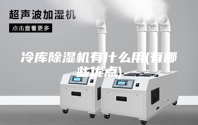 冷庫除濕機有什么用(有哪些優點)