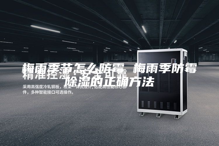 梅雨季節(jié)怎么防霉 梅雨季防霉除濕的正確方法