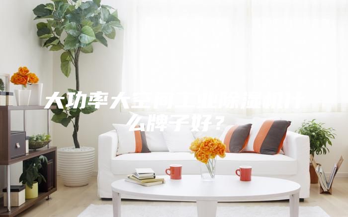 大功率大空間工業除濕機什么牌子好?