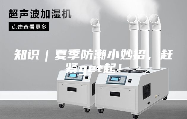 知識｜夏季防潮小妙招，趕緊get起！