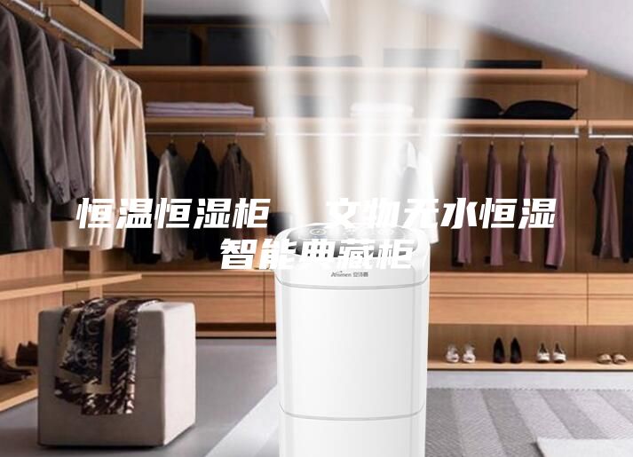 恒溫恒濕柜  文物無水恒濕智能典藏柜