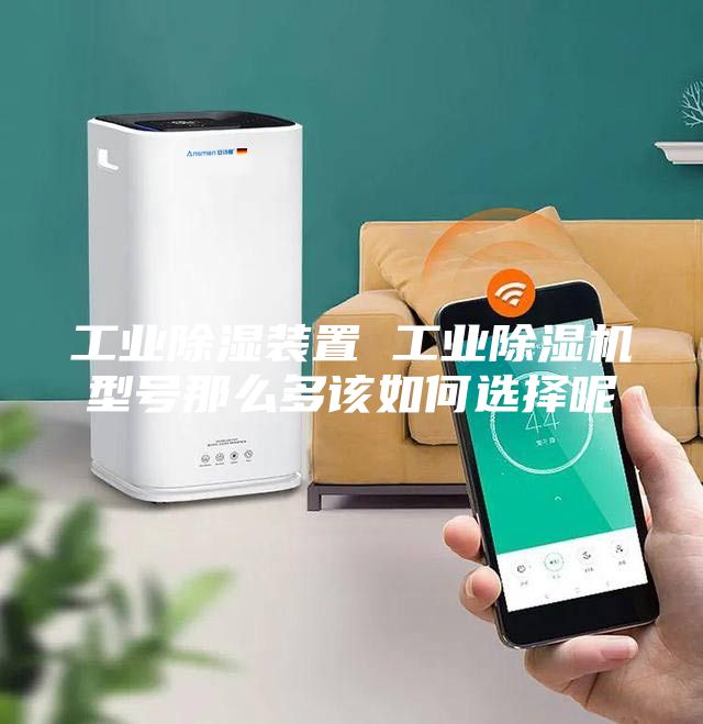 工業(yè)除濕裝置 工業(yè)除濕機(jī)型號(hào)那么多該如何選擇呢