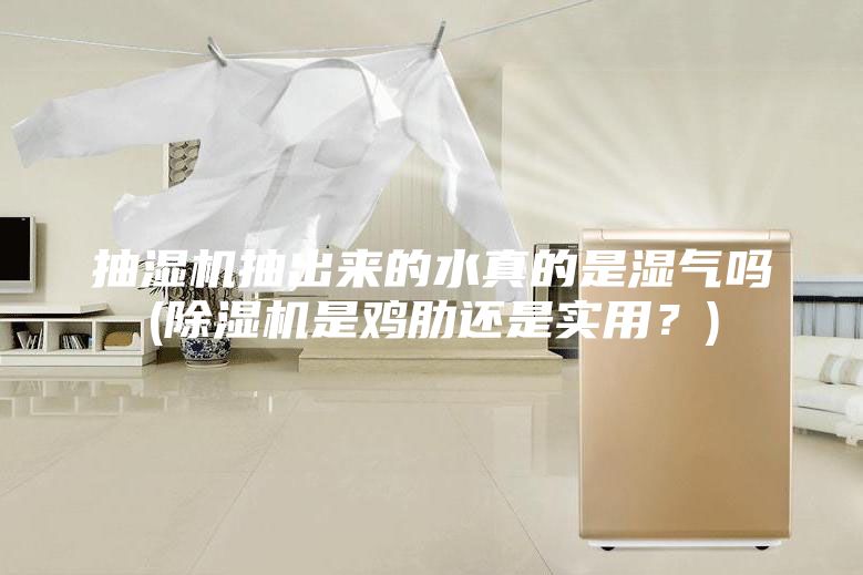 抽濕機抽出來的水真的是濕氣嗎(除濕機是雞肋還是實用？)