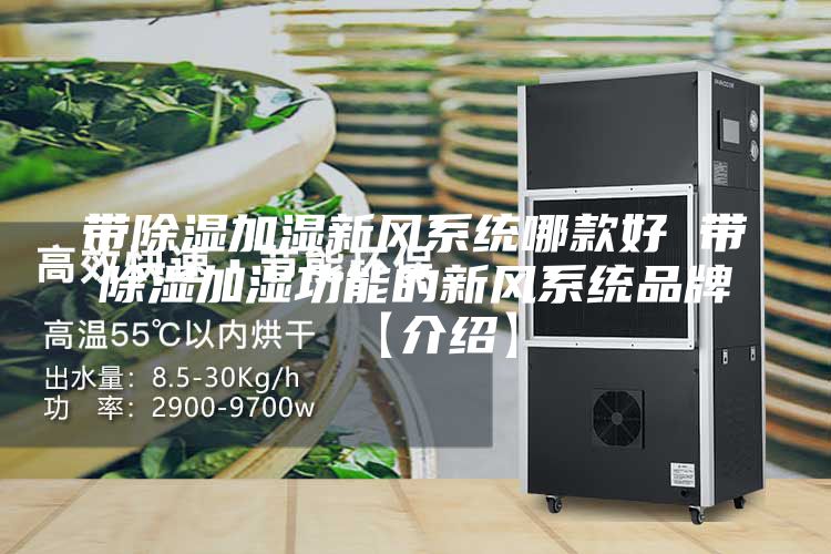 帶除濕加濕新風(fēng)系統(tǒng)哪款好 帶除濕加濕功能的新風(fēng)系統(tǒng)品牌【介紹】