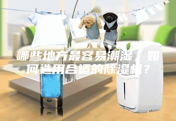 哪些地方最容易潮濕，如何選用合適的除濕機？