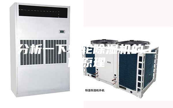 分析一下轉輪除濕機的工作原理