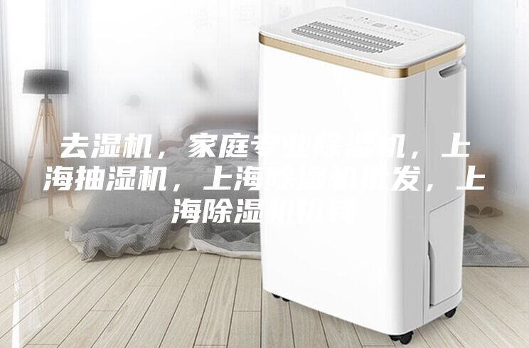 去濕機，家庭專業除濕機，上海抽濕機，上海除濕機批發，上海除濕機價錢