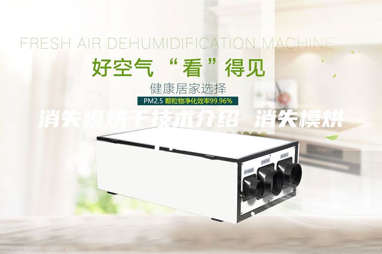 消失模烘干技術介紹 消失模烘干除濕機