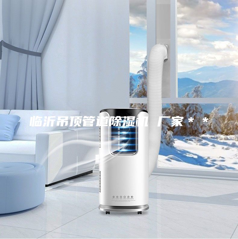 臨沂吊頂管道除濕機(jī) 廠家＊＊