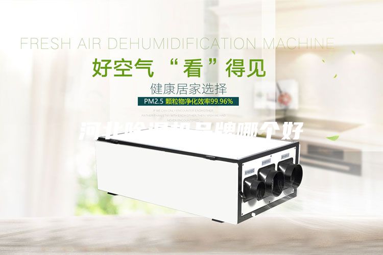 河北除濕機(jī)品牌哪個好