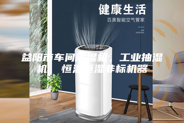 益陽市車間除濕機(jī)，工業(yè)抽濕機(jī)  恒溫恒濕非標(biāo)機(jī)器