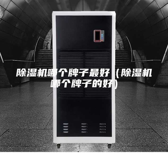除濕機哪個牌子最好（除濕機哪個牌子的好）