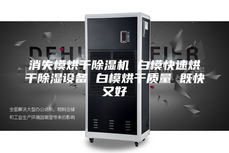 消失模烘干除濕機 白?？焖俸娓沙凉裨O備 白模烘干質量 既快又好