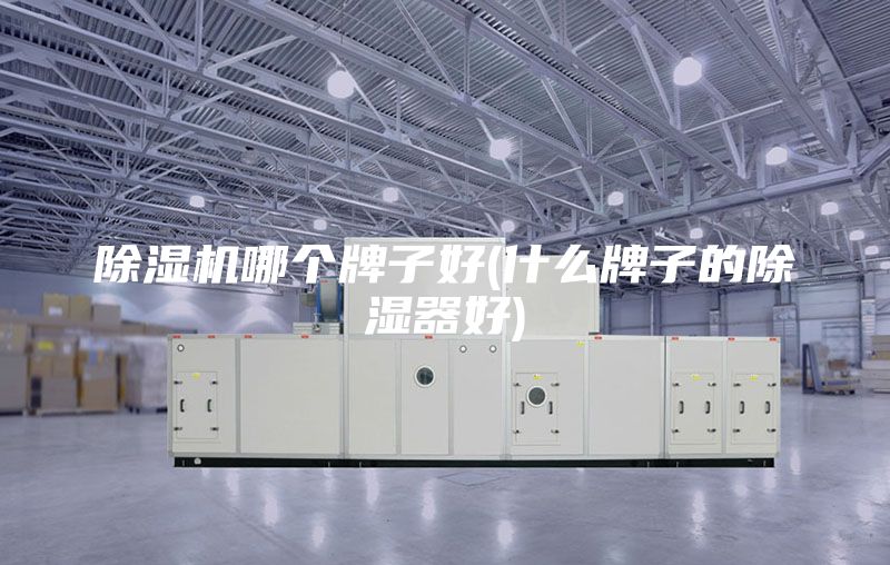 除濕機(jī)哪個牌子好(什么牌子的除濕器好)