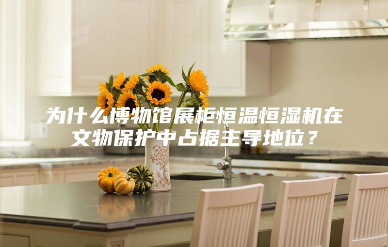 為什么博物館展柜恒溫恒濕機(jī)在文物保護(hù)中占據(jù)主導(dǎo)地位？