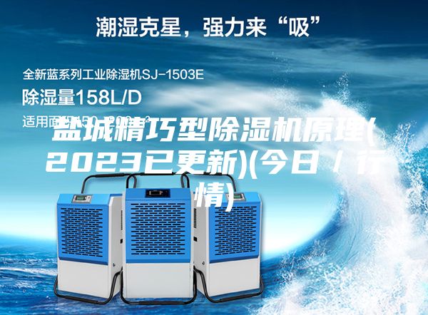 鹽城精巧型除濕機(jī)原理(2023已更新)(今日/行情)