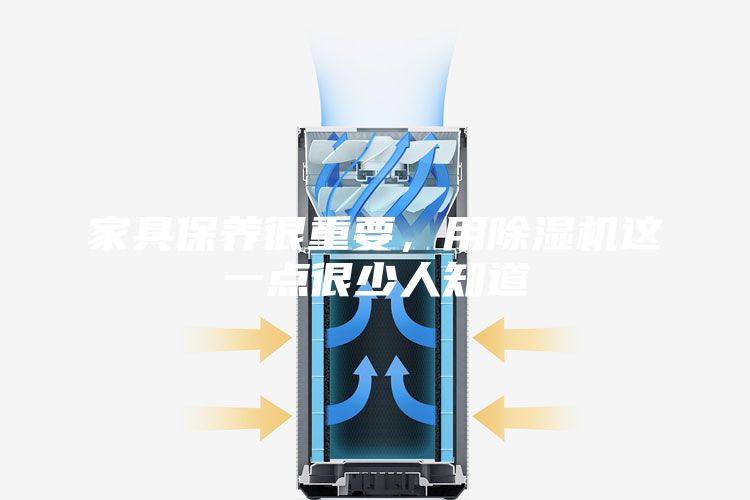 家具保養(yǎng)很重要,用除濕機(jī)這一點(diǎn)很少人知道