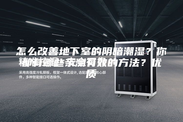 怎么改善地下室的陰暗潮濕?你都有哪些親測有效的方法?優(yōu)質(zhì)