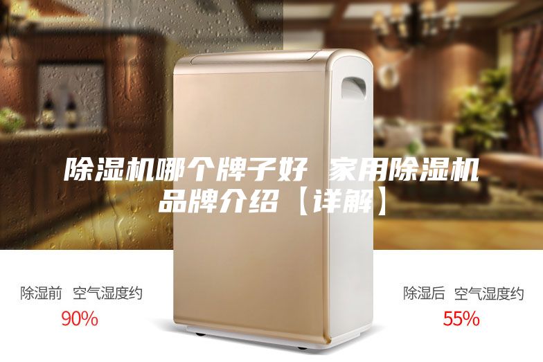 除濕機(jī)哪個牌子好 家用除濕機(jī)品牌介紹【詳解】