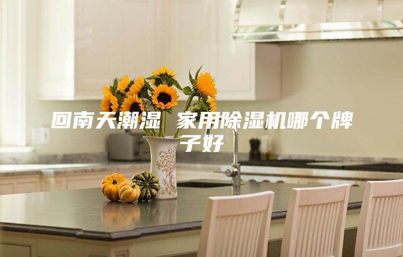 回南天潮濕 家用除濕機哪個牌子好