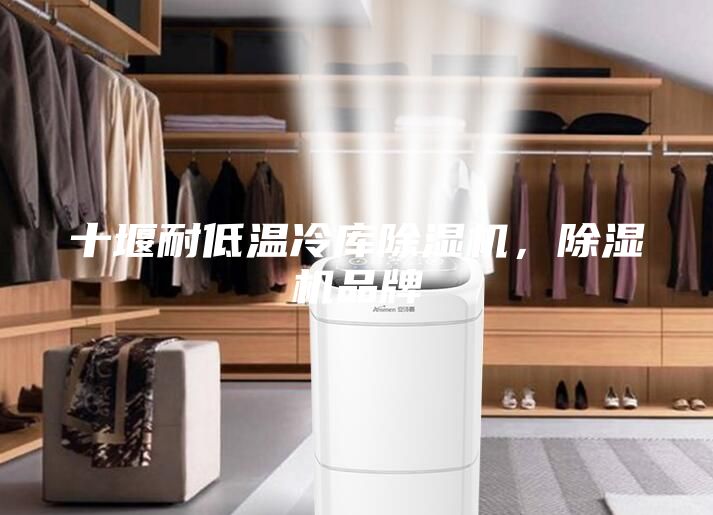 十堰耐低溫冷庫除濕機,除濕機品牌