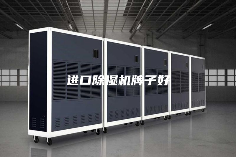 進(jìn)口除濕機(jī)牌子好