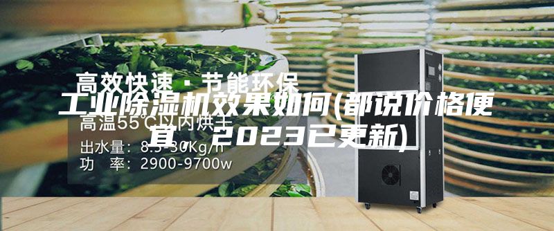 工業除濕機效果如何(都說價格便宜，2023已更新)