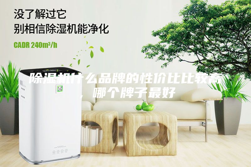 除濕機(jī)什么品牌的性價(jià)比比較高，哪個牌子最好