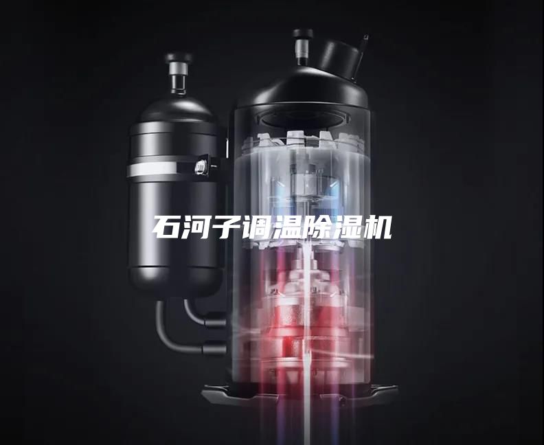 石河子調(diào)溫除濕機(jī)