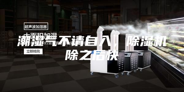 潮濕氣不請自入，除濕機除之后快