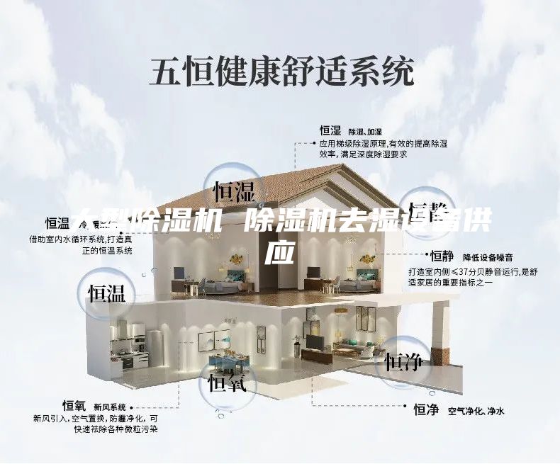 大型除濕機 除濕機去濕設(shè)備供應(yīng)