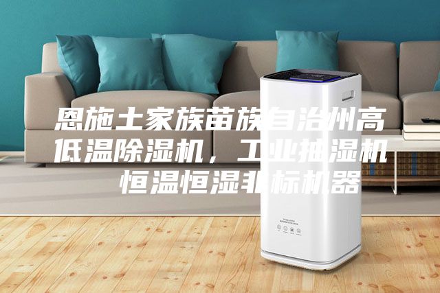 恩施土家族苗族自治州高低溫除濕機，工業(yè)抽濕機  恒溫恒濕非標機器