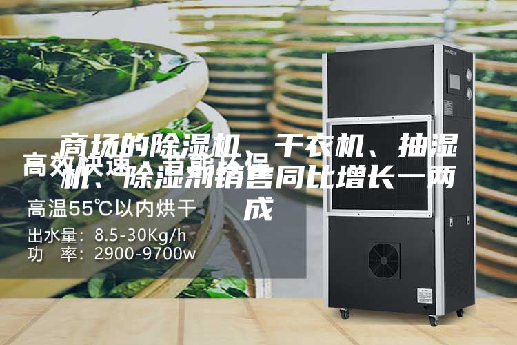 商場的除濕機、干衣機、抽濕機、除濕劑銷售同比增長一兩成