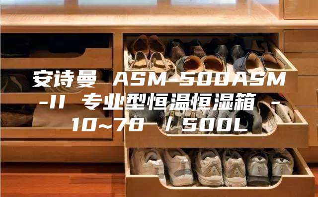 安詩曼 ASM-500ASM-II 專業型恒溫恒濕箱 -10~70℃／500L