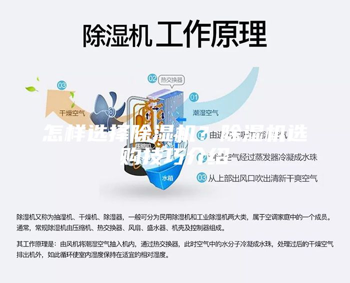 怎樣選擇除濕機？除濕機選購技巧介紹