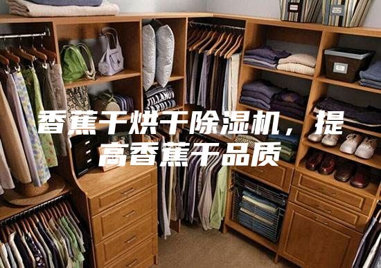 香蕉干烘干除濕機(jī),提高香蕉干品質(zhì)