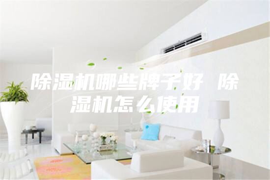 除濕機(jī)哪些牌子好 除濕機(jī)怎么使用