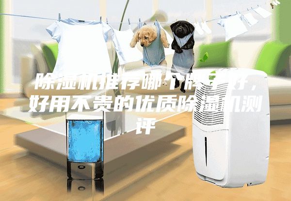 除濕機推薦哪個牌子好，好用不貴的優(yōu)質(zhì)除濕機測評