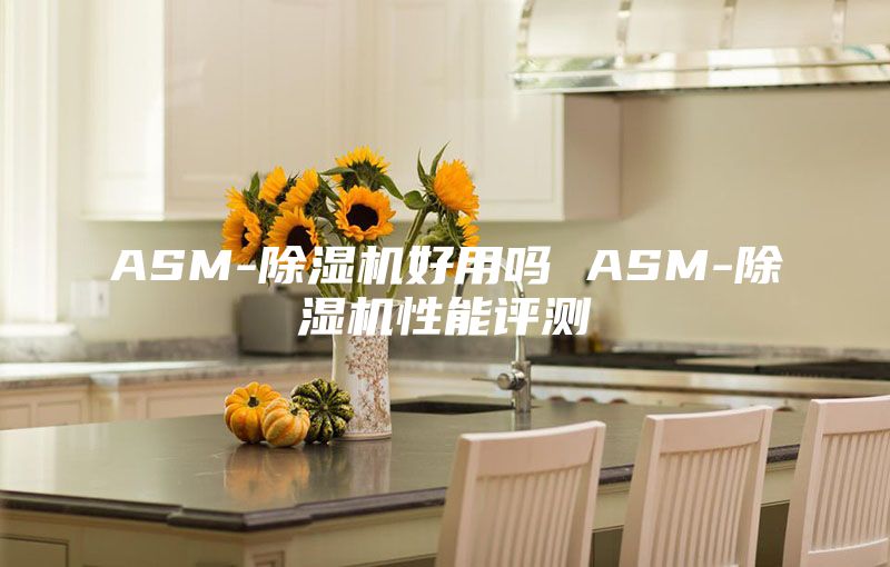 ASM-除濕機好用嗎 ASM-除濕機性能評測