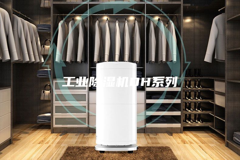 工業(yè)除濕機DH系列