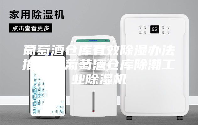 葡萄酒倉庫有效除濕辦法推薦?葡萄酒倉庫除潮工業除濕機