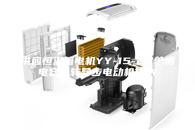供應(yīng)恒溫箱電機(jī)YY-15-2P單相電容運(yùn)轉(zhuǎn)異步電動(dòng)機(jī)15W