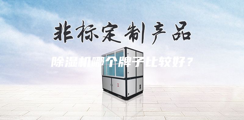 除濕機(jī)哪個(gè)牌子比較好？