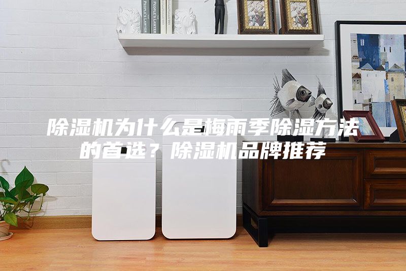 除濕機為什么是梅雨季除濕方法的首選？除濕機品牌推薦