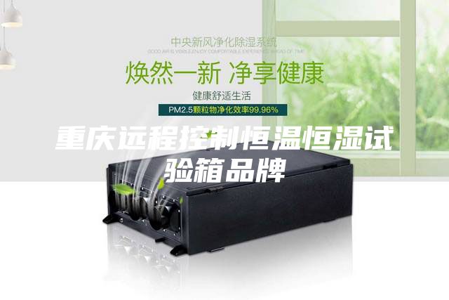 重慶遠程控制恒溫恒濕試驗箱品牌