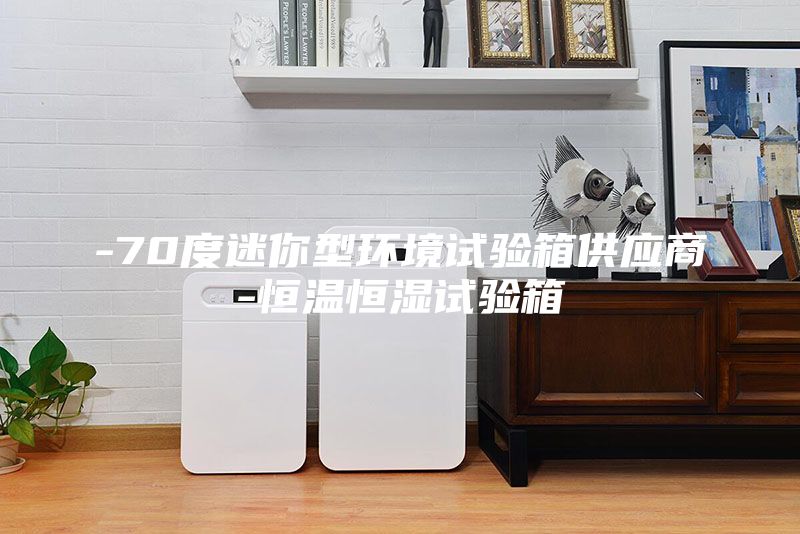 -70度迷你型環(huán)境試驗箱供應(yīng)商-恒溫恒濕試驗箱