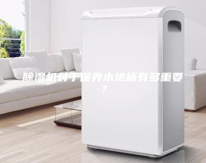 除濕機對于保養木地板有多重要？