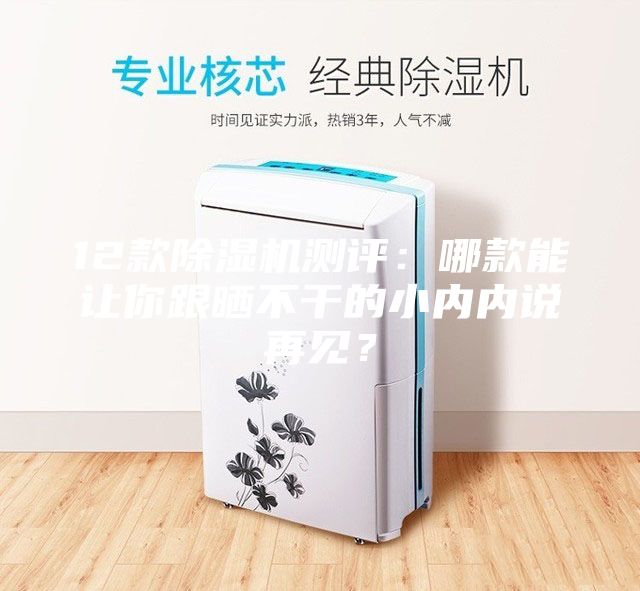 12款除濕機(jī)測(cè)評(píng)：哪款能讓你跟曬不干的小內(nèi)內(nèi)說(shuō)再見(jiàn)？